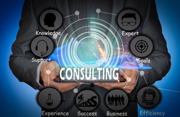 IT Consulting