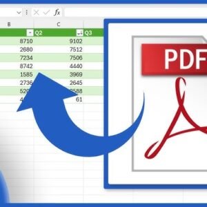 PDF Table to Excel Extraction